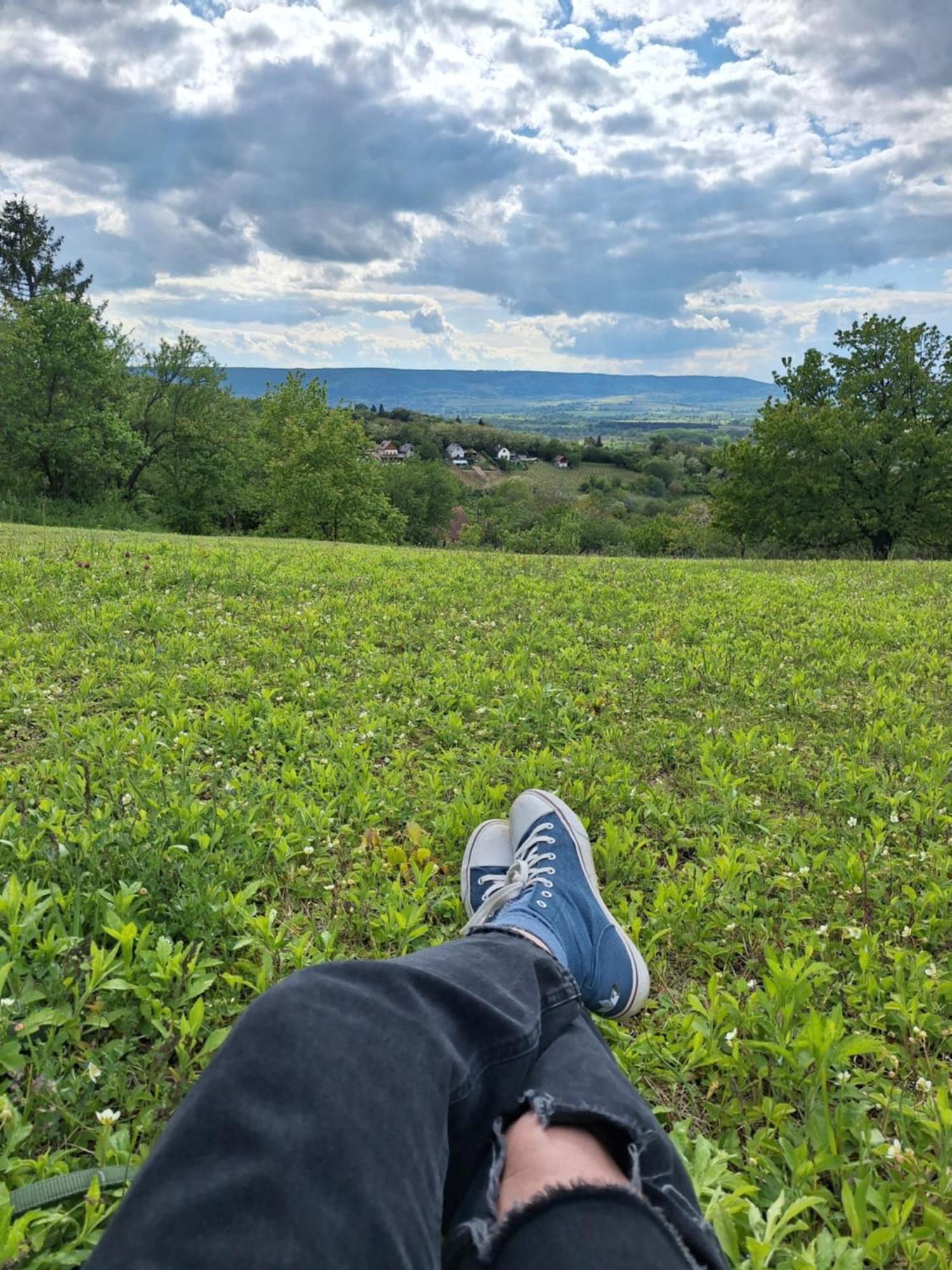 Hillside Vendeghaz A Szent Gyoergy-Hegyen Villa Raposka Luaran gambar